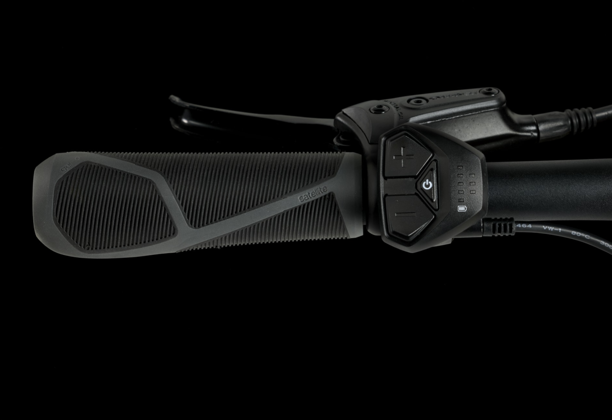 Trek Verve+ 1 Lowstep LT