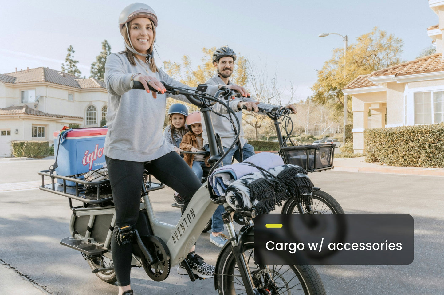 Aventon Abound Cargo Ebike