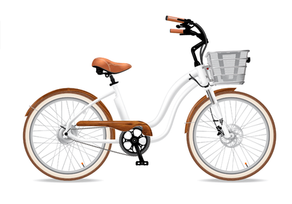 Electric Bikes Company Model Y E-bike